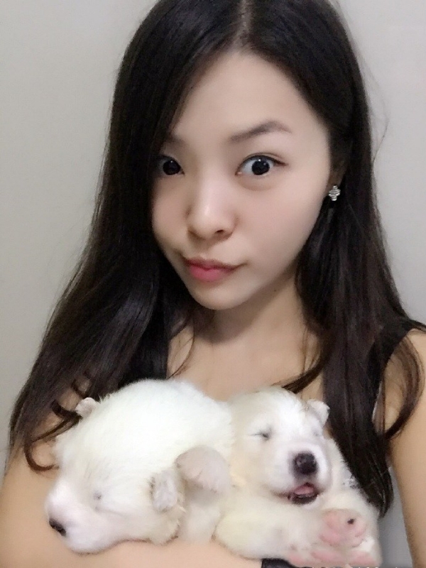 如果可以的第三张照片--银川相亲服务中心
