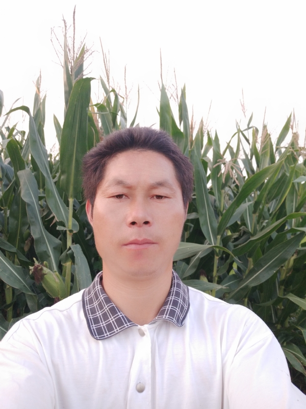 四海游龙的第一张照片--银川相亲服务中心
