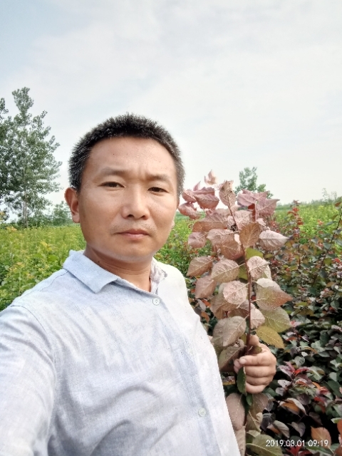 孩子爸的第一张照片--银川相亲服务中心