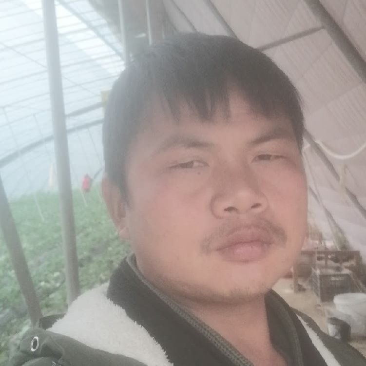 孤狼‘的第一张照片--银川相亲服务中心