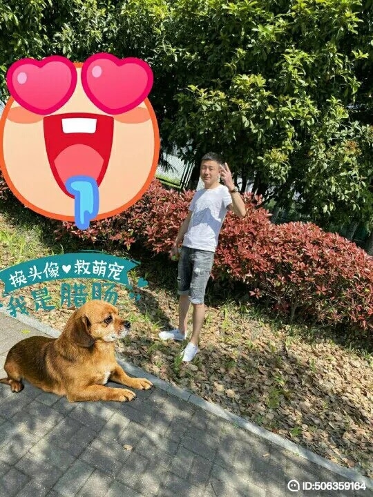 我若不坚强谁替我勇敢的第一张照片--银川相亲服务中心