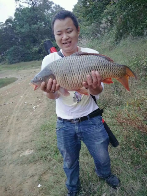 迷路的男人的第一张照片--银川相亲服务中心
