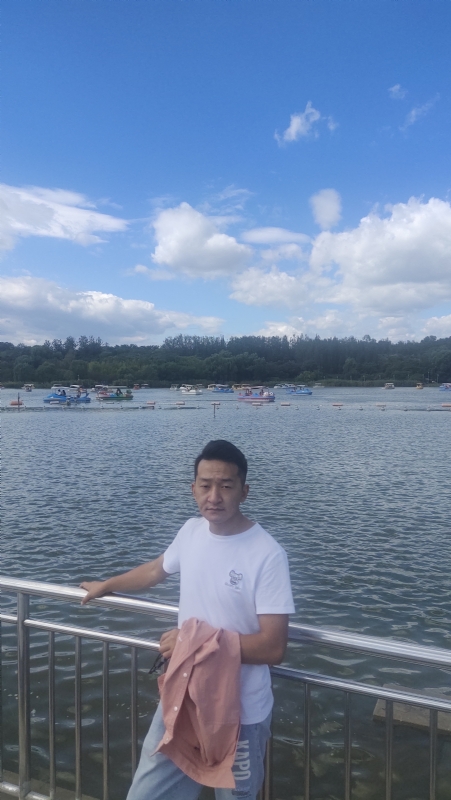 脱了壳的龟的第一张照片--银川相亲服务中心